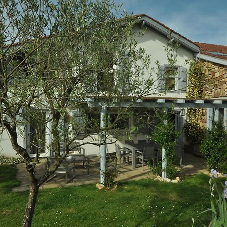 Bed and Breakfast Ferme Elhorga à Saint-Pée-sur-Nivelle Extérieur photo